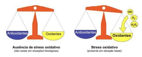 O que é estresse oxidativo ANDREIA TORRES