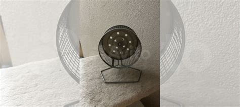 Колесо для хомяка купить в Волгограде | Животные и зоотовары | Авито