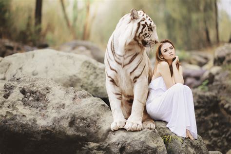 Girl With White Tiger 5k Hd Photography 4k Wallpapers Images