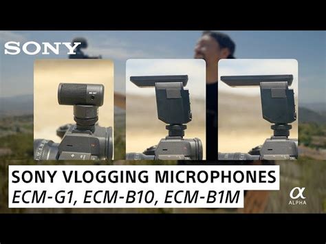 Micro Sony Ecm B Informacionpublica Svet Gob Gt