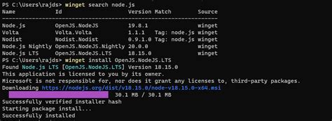 Install Node Js And NPM On Windows 10 Or 11 Using Command Line