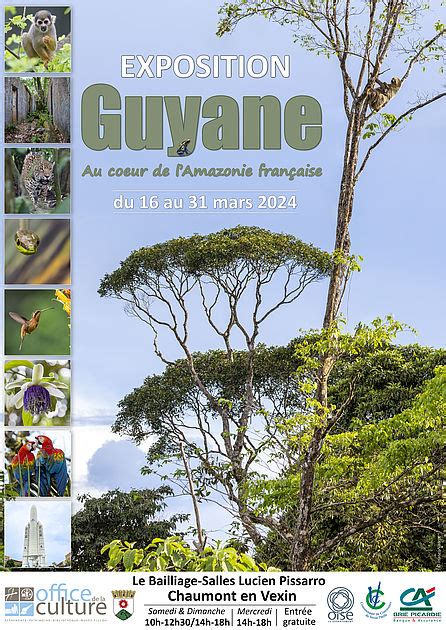 Exposition Guyane Au Coeur De L Amazonie Fran Aise D Partement De L