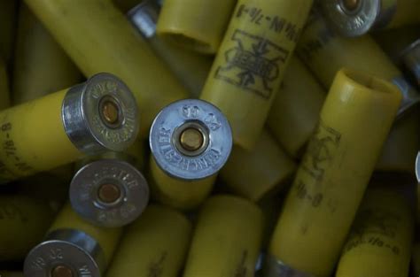 Shotgun Shell Sizes And Why You Need To Know About Them 2023