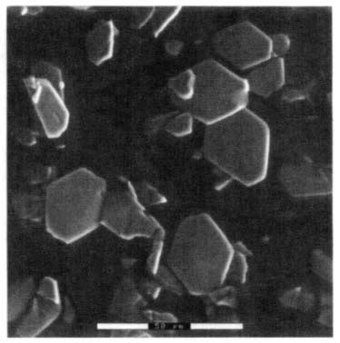 An Electron Micrograph Of Calcium Dihydrogen Pyrophosphate Crystals