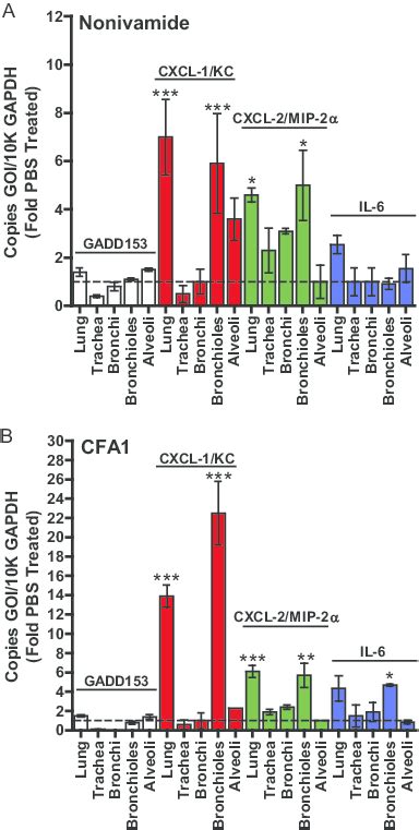 Quantification Of Gadd Cxcl Kc Cxcl Mip And Il Mrna