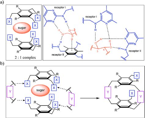 Hydrogen Bonding Examples