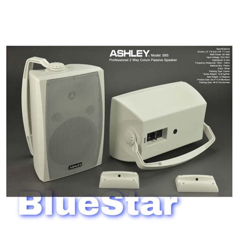 Jual Speaker Pasif Ashley B Original Monitor B Passive Inch