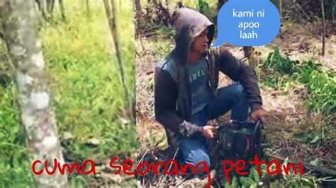 Pemangkasan Pohon Kopi Rebusta Youtube