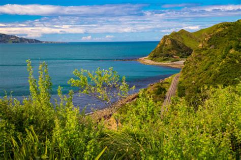 Mahia Peninsula Foto Stok Potret And Gambar Bebas Royalti Istock