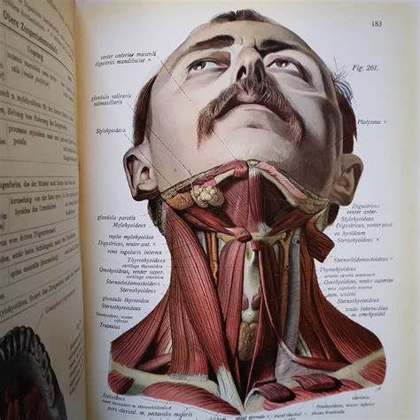 Johannes Sobotta Was A German Anatomist Known For His Atlas