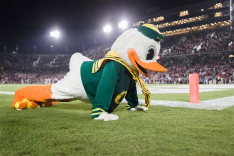 The Oregon Duck Mascot Performs On The Field During A Pac12 Ncaa