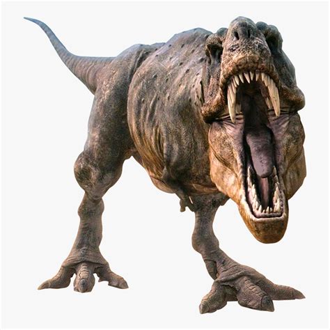 T Rex Tyrannosaurus Rex Png T Rex Dinosaur Png Dino Png Digital The