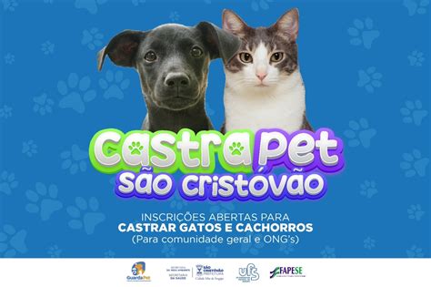 Prefeitura De S O Crist V O J Realizou Cadastro Para Castra O De Mais