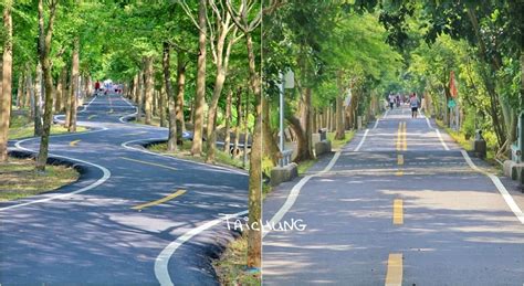 台中景點》潭雅神綠園道，美拍浪漫s彎道and波浪自行車道