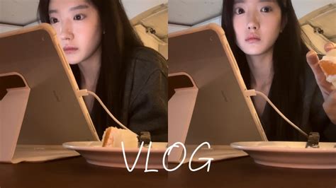 Vlog