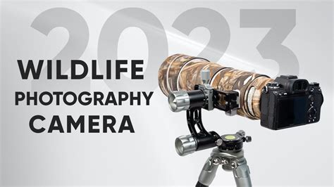 Best Wildlife Photography Camera In Youtube