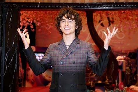 Wonka De Paul King Protagonizada Por Timothee Chalamet Consigue Ser