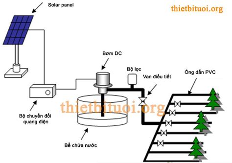 HỆ ThỐng TƯỚi NhỎ GiỌt BẰng NĂng LƯỢng MẶt TrỜi Chuyên Phân Phối