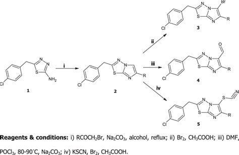 Scheme Synthesis Of Substituted Imidazo B