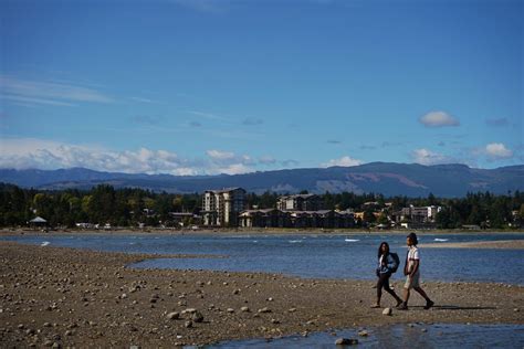 5 Reasons To Go Birdwatching In BC The BC Bird Trail