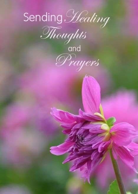 Sending Healing Thoughts And Prayers