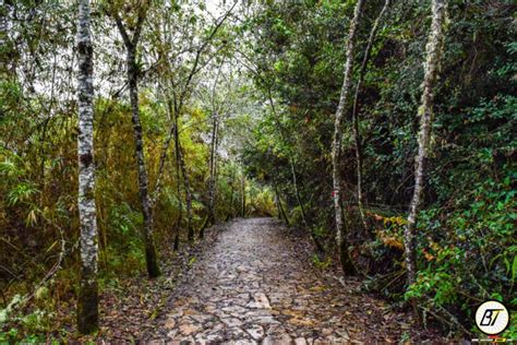 Da Bogot Tour Del Lago Guatavita E Della Cattedrale Del Sale Di