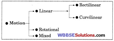 Wbbse Class Physical Science Notes Chapter Force And Motion Wbbse