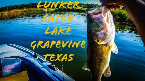 Lunker Largemouth Bass Catch On Lake Grapevine Texas Youtube