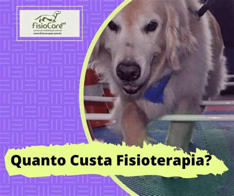 Quanto Custa Fisioterapia para Cachorro Média de Valores Fisio Care