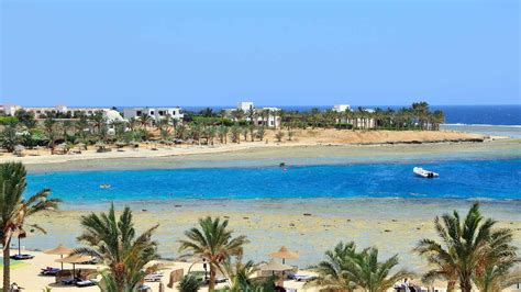 Things To Do In Marsa Alam 10 Best Tours And Activities In 2021