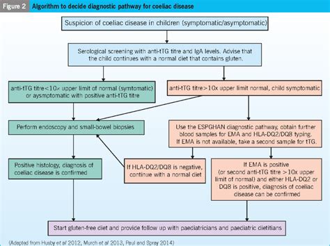 Nursing Considerations For Celiac Disease Management Ask The Nurse Expert