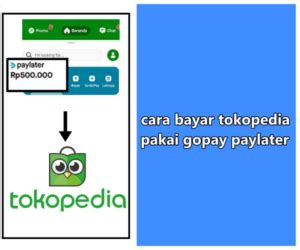 Cara Bayar Tokopedia Pakai Gopay Paylater Termudah