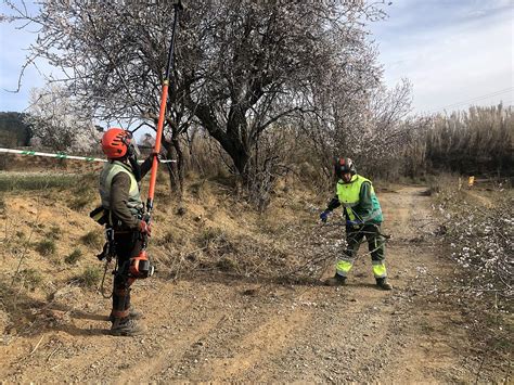 Comencen Les Obres Del Segon Tram De LAnella Verda De Prop De 5 Km De