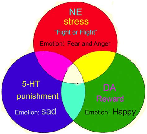 Frontiers Editorial Neurotransmitters And Emotions