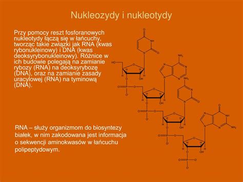 Ppt Materia Y Pochodz Z Platformy Edukacyjnej Portalu