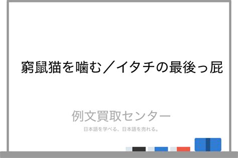 【窮鼠猫を噛む】と【イタチの最後っ屁】の意味の違いと使い方の例文 例文買取センター