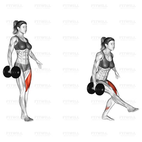 Dumbbell Single Leg Squat Exercise Guide Video Techniques Benefits How To Muscles Worked