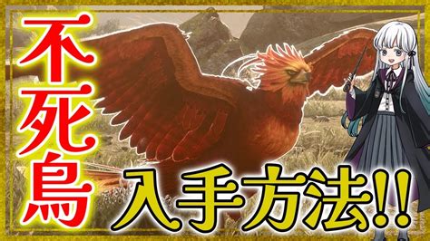 【ホグワーツレガシー】1匹しか手に入れられない不死鳥の入手方法を簡単解説！【hogwartslegacy】 Youtube