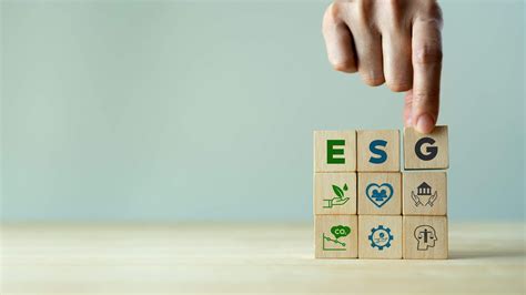 Reasons To Adopt Esg Business Practices In Your Company And How To Do