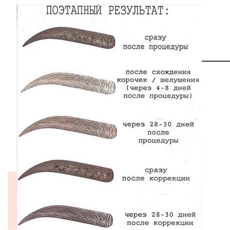 Есть этапы заживления после процедуры Перманентного макияжа бровей ☝️☺️ ...
