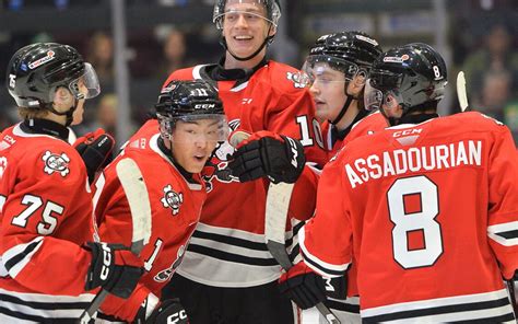 Icedogs Earn Three Of Four Points On Road Trip Bp Sports Niagara