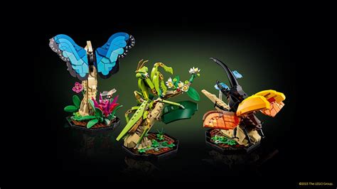 The Lego Ideas Insect Collection Showcases The Beauty Of Tiny Creatures