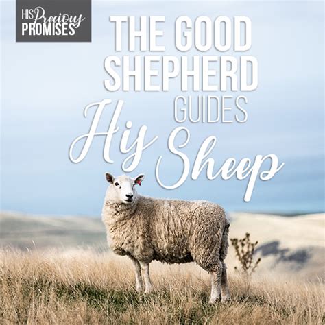 The Good Shepherd Guides His Sheep Hope Mommies