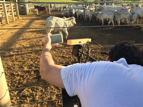 SECTI - Tecnova-ES: projeto Olho do Dono desenvolve nova forma de pesar