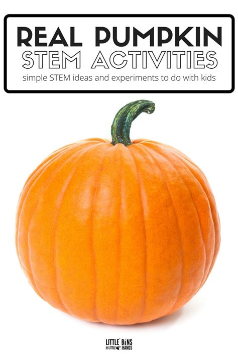 Pumpkin STEM Activities For Fall - Little Bins for Little Hands