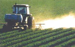 Insecticides,Insecticides for Plants,Insecticides Manufacturer,Insecticides Exporter