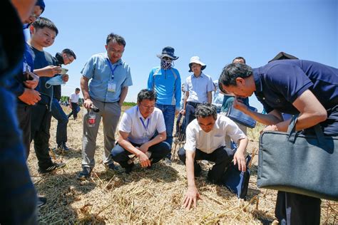 油菜盐碱地高产高油技术模式现场观摩会在我院东台示范基地召开 苏州市农业科学院官方网站