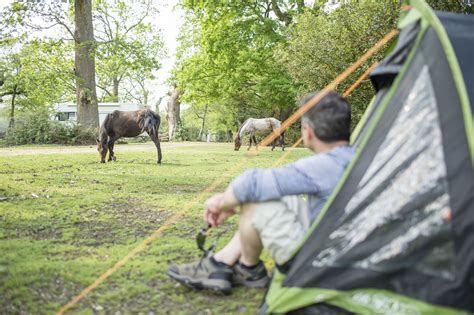 Ashurst Campsite Hampshire