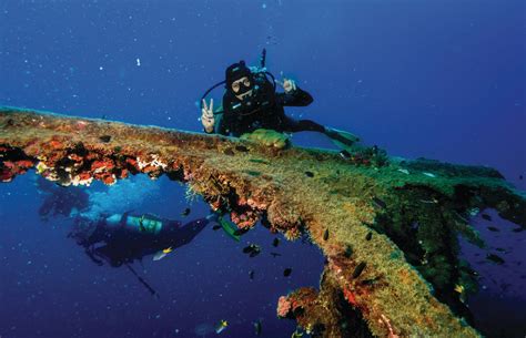 8 Top Dive Sites of Australia’s Great Barrier Reef