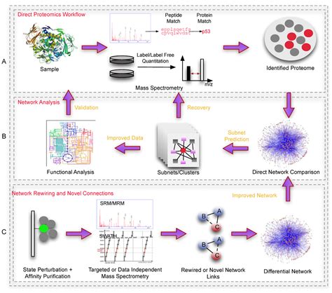 Biology Free Full Text Contemporary Network Proteomics And Its Requirements